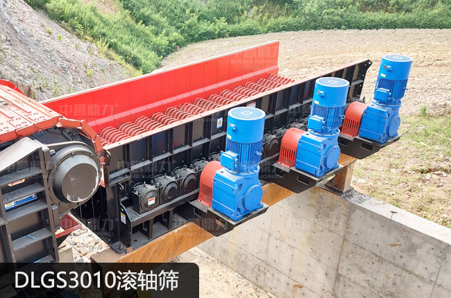DLGS3010�L�S�Y